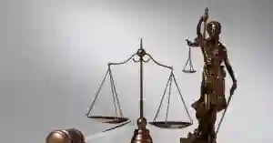 What does a lawyer do