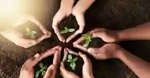 Social Media Campaign for NGO