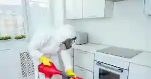 SEO for Pest Control