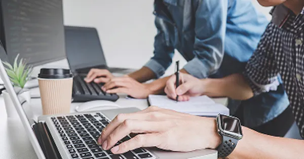 web designer and web developer
